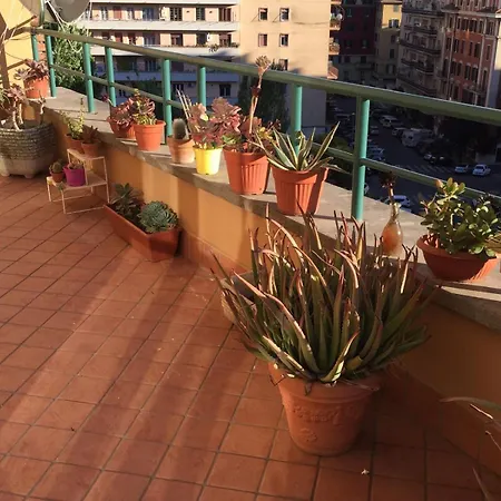 Con Terrazzo Al Vaticano *